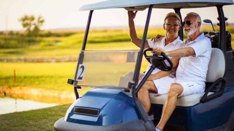 Top 10 Seat Cushions: Padded Golf Cart Seats for Seniors with Back Pain